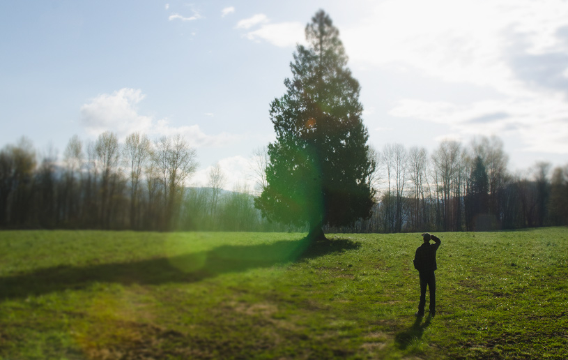 Dwelling in the Grace of God