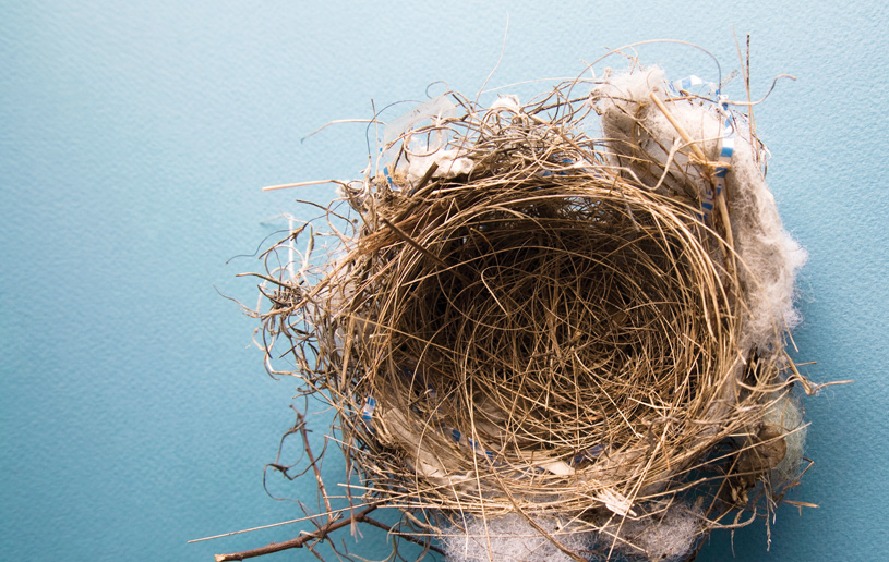 The Most Important Things: Reflections of an Empty Nester