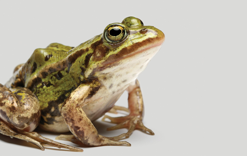 Grace Allows Us to Accept Ourselves-Warts and All