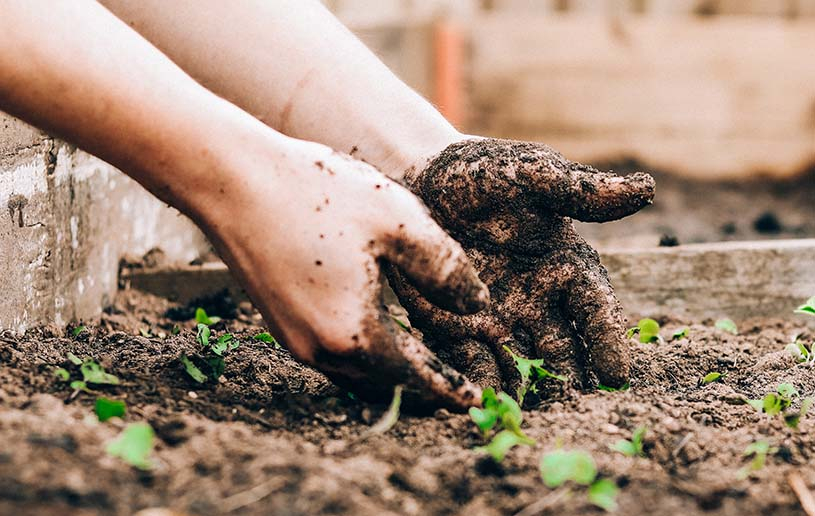 Cultivating a Tender Heart and a Tough Hide