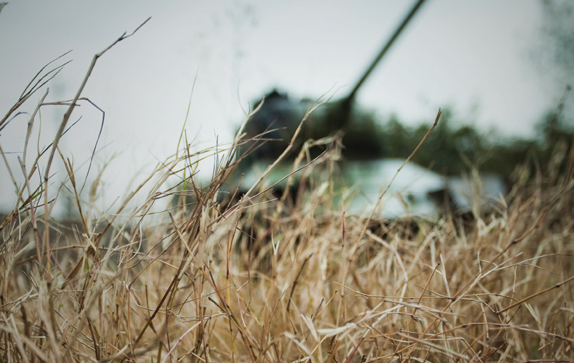 Living on the Warpath