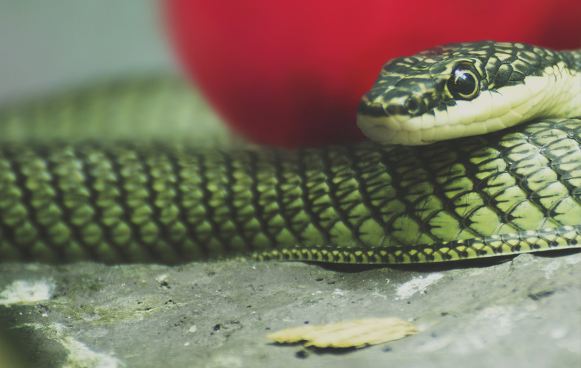 When in Doubt, Check it Out